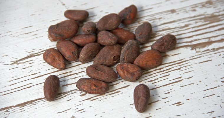 Le cacao cru