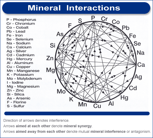 Les interactions minérales