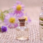 Comment se soigner pendant la saison froide avec les plantes ?