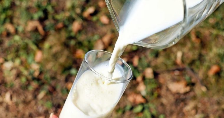 Les produits laitiers : hormones, antibiotiques, colles, caséine & lactose.