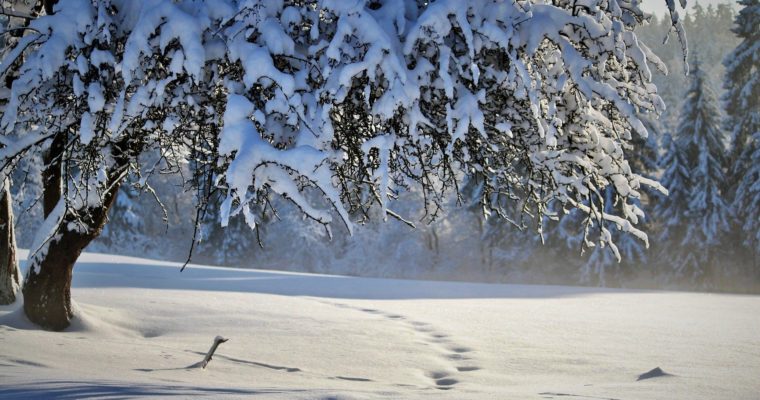 Déprime hivernale & naturopathie