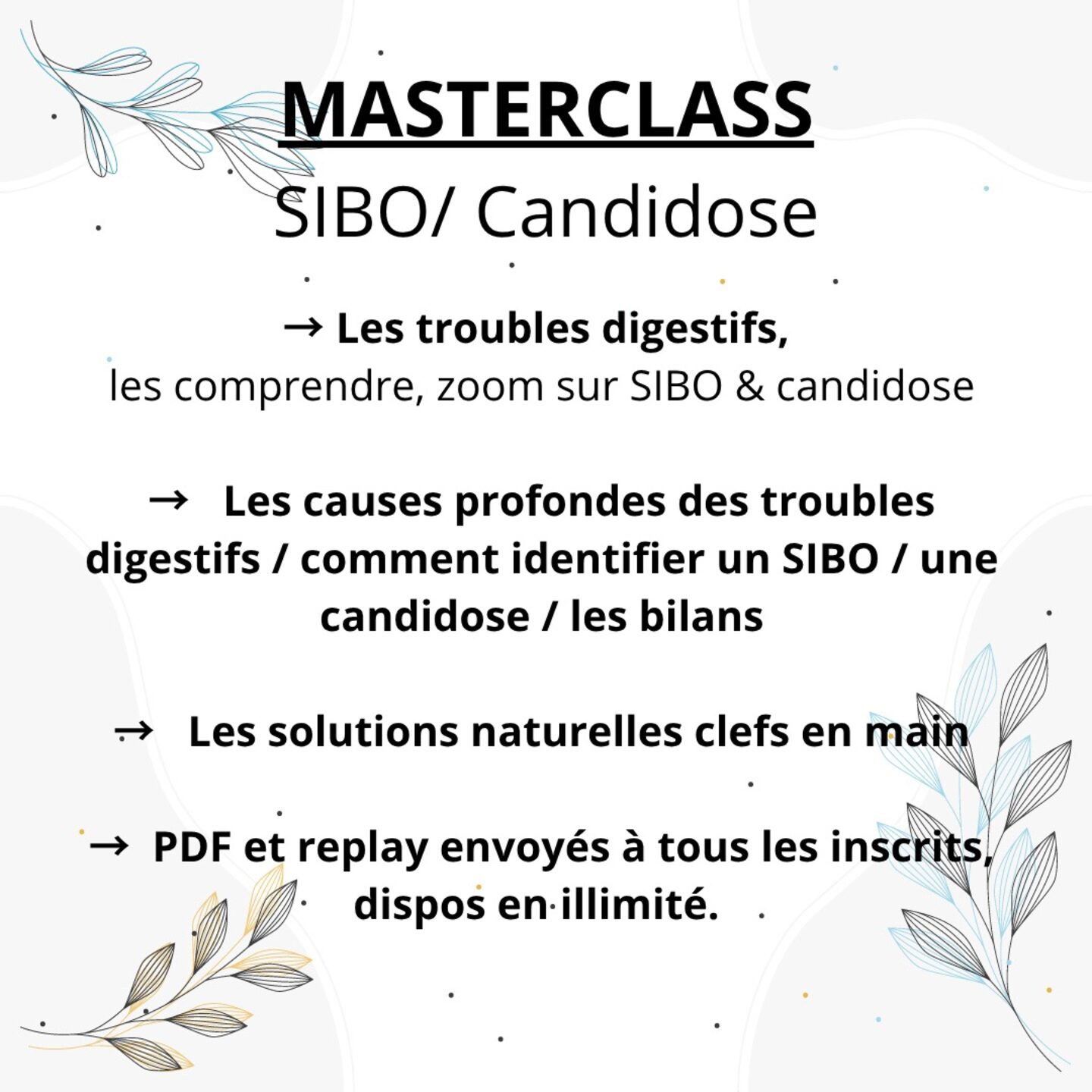 Replay masterclass troubles digestifs, zoom sur SIBO et Candidose