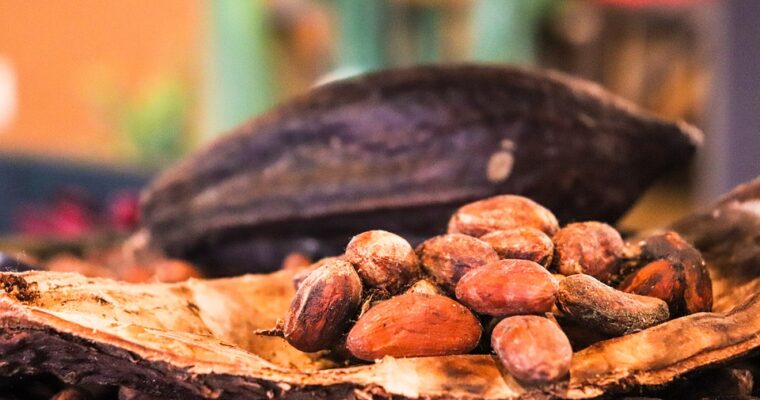 Le cacao cru & ses bienfaits